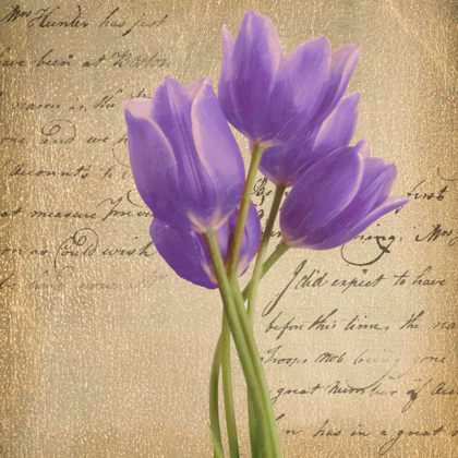 Picture of PURPLE TULIP II ON GOLD