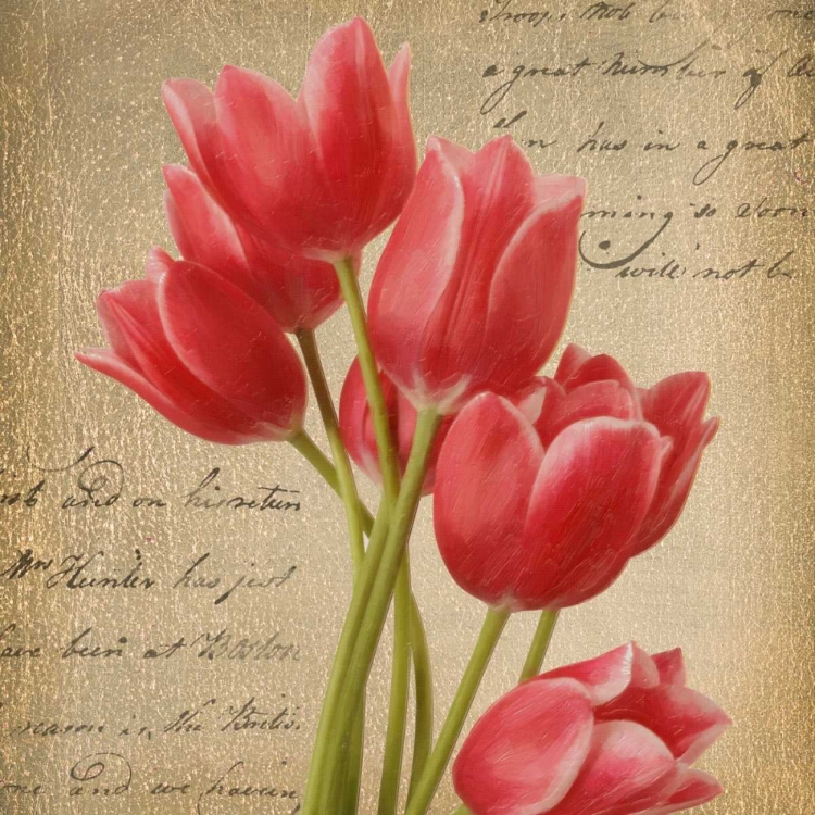 Picture of RED TULIP I ON GOLD