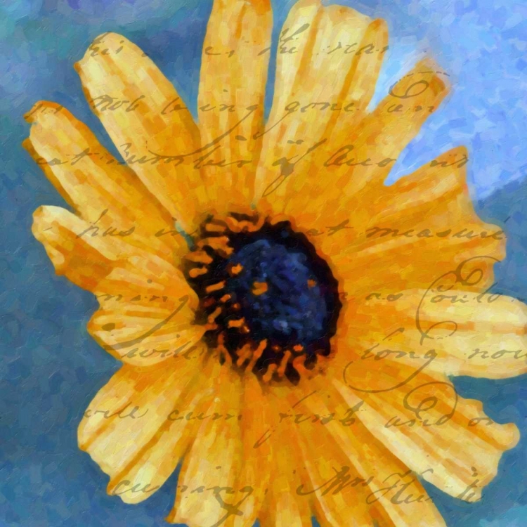 Picture of SCRIPTED WILD SUNFLOWER I