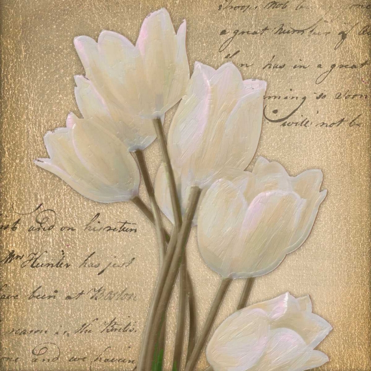 Picture of WHITE TULIP I 