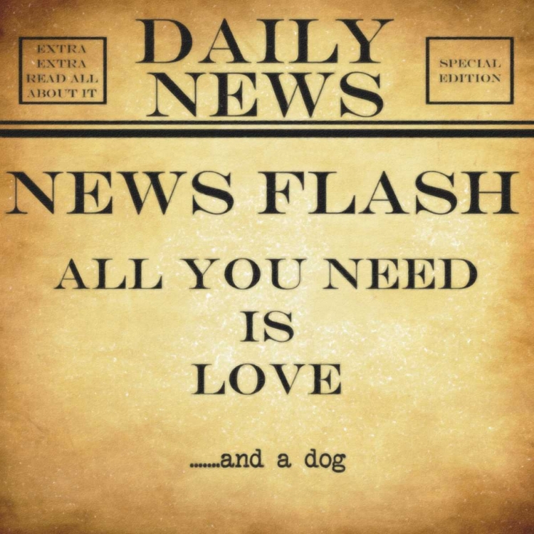 Picture of NEWS FLASH A DOG