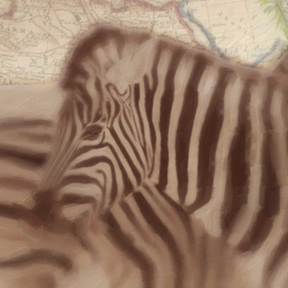 Picture of ZEBRA TRAVELS