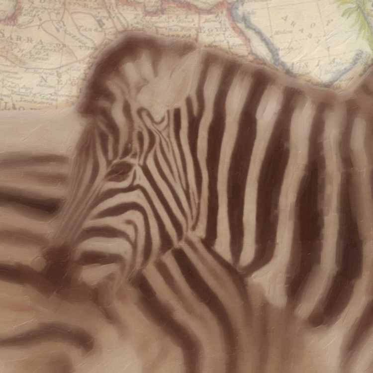 Picture of ZEBRA TRAVELS