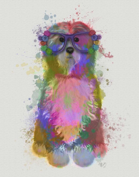 Picture of TIBETAN TERRIER RAINBOW SPLASH