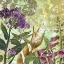 Picture of FOXGLOVE MEADOW II