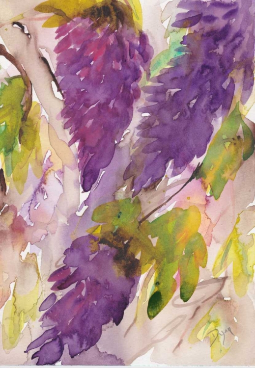 Picture of WISTERIA II