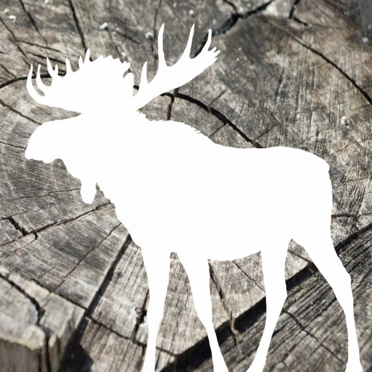 Picture of WOOD MOOSE REVERSE MATE