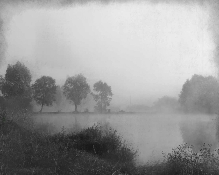 Picture of MISTY LAKE DAY