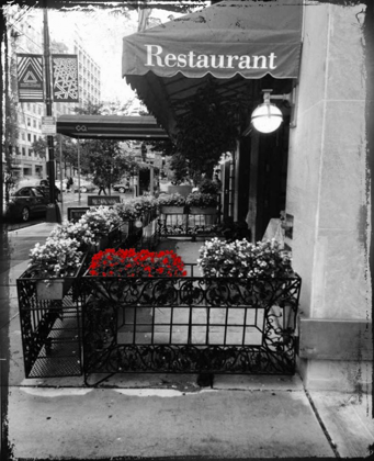 Picture of RED RESTAURANT FLORA POP