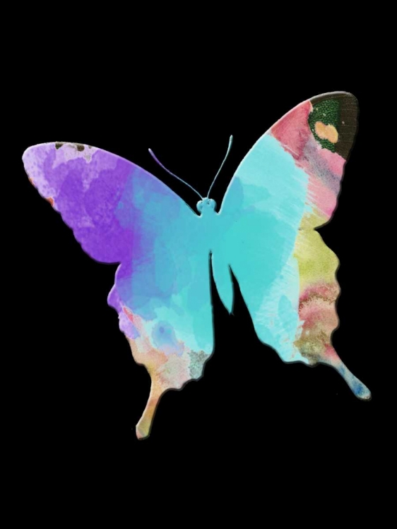 Picture of BUTTERFLY WATERCOLOR