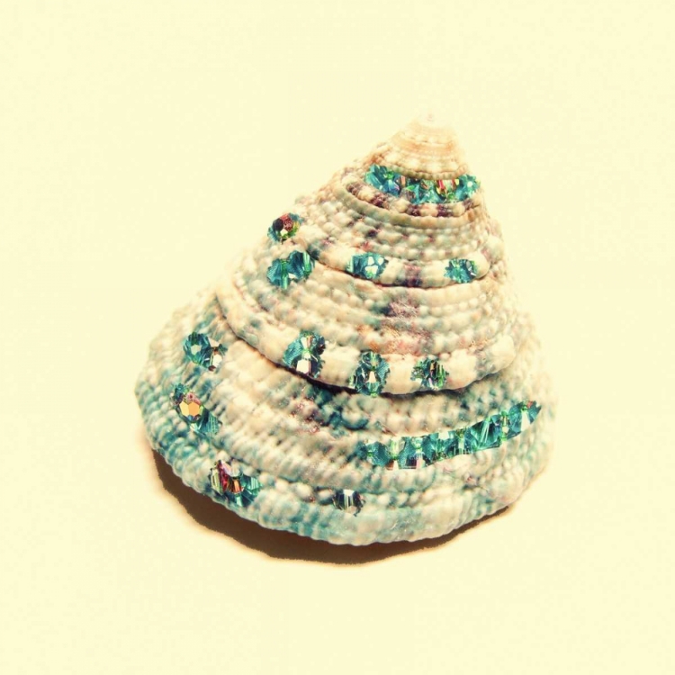 Picture of JEWELED SHELL 2