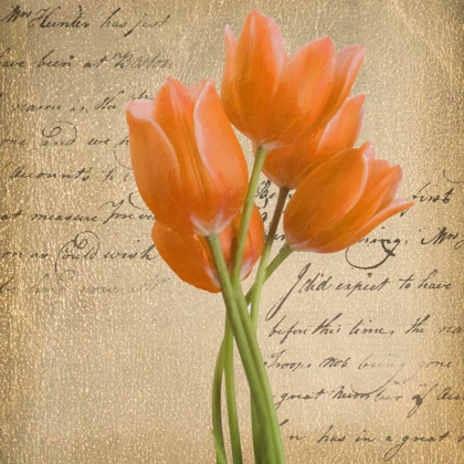 Picture of ORANGE TULIP II ON GOLD