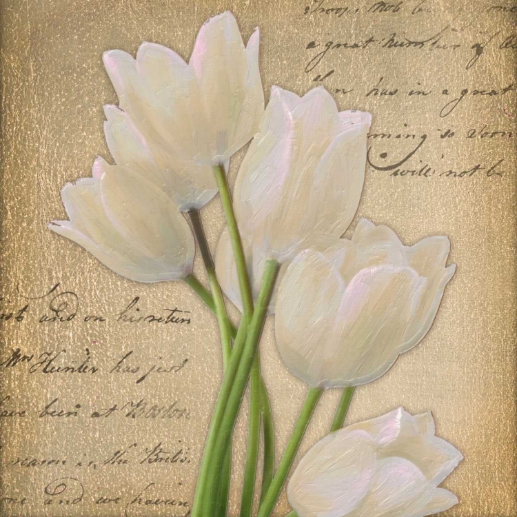 Picture of WHITE TULIP  ON GOLD A