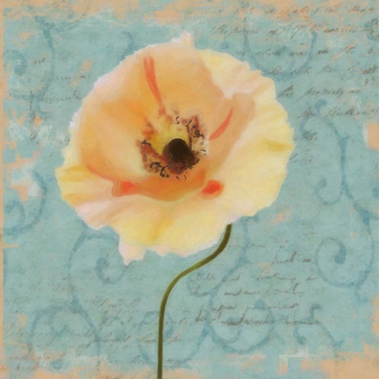 Picture of BLUE POPPY SCRIPT B1