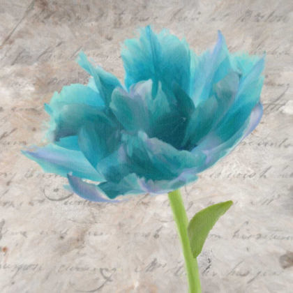 Picture of BLUE SCRIPTED FLORAL II