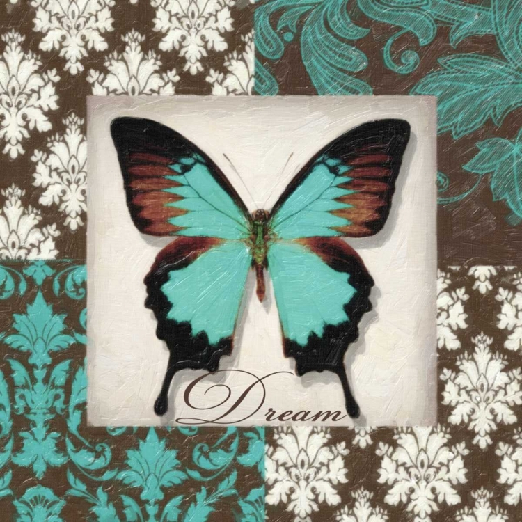 Picture of DREAM BUTTERFLY