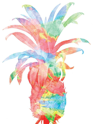 Picture of PINEAPPLE COLORSPLOSION