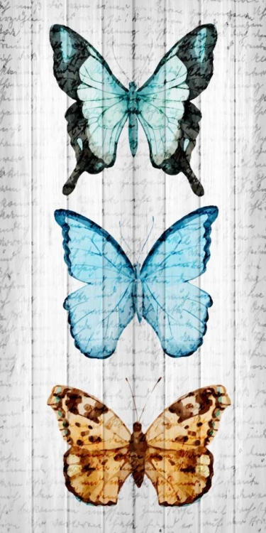 Picture of VINTAGE BUTTERFLY 1