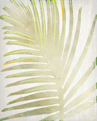 Picture of TROPICAL PALMS 1