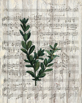 Picture of MUSICAL BOTANICAL 1