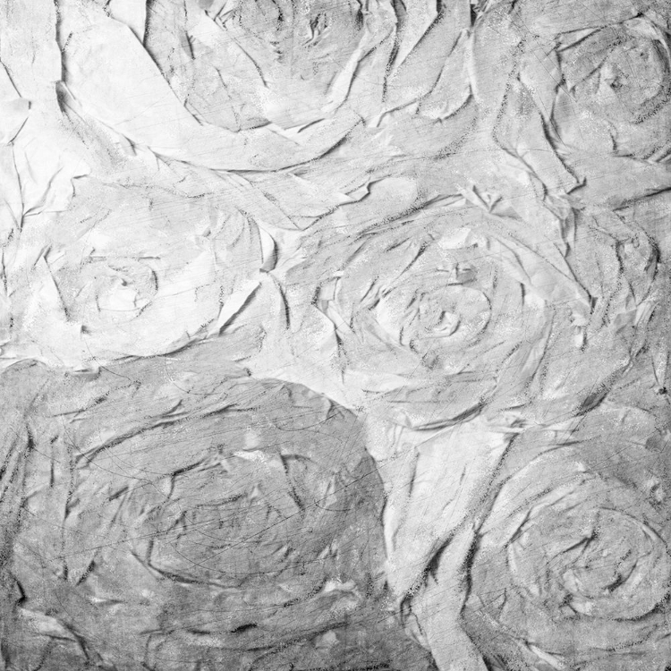 Picture of PAPER ROSES GREY 1