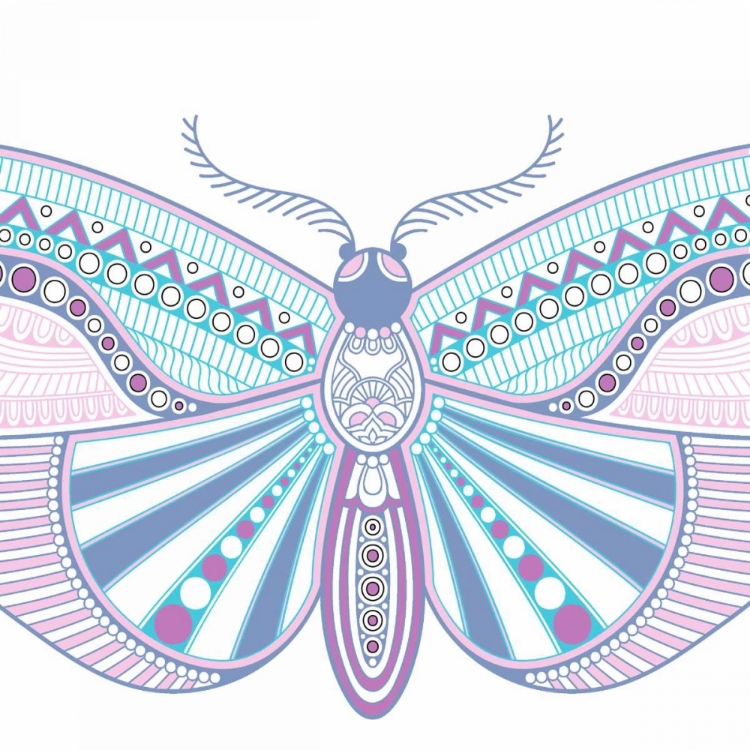 Picture of COLORFUL BUTTERFLY 3