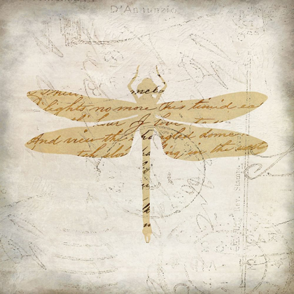 Picture of DRAGONFLY LETTERS 2