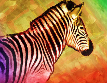 Picture of BRIGHT ZEBRA