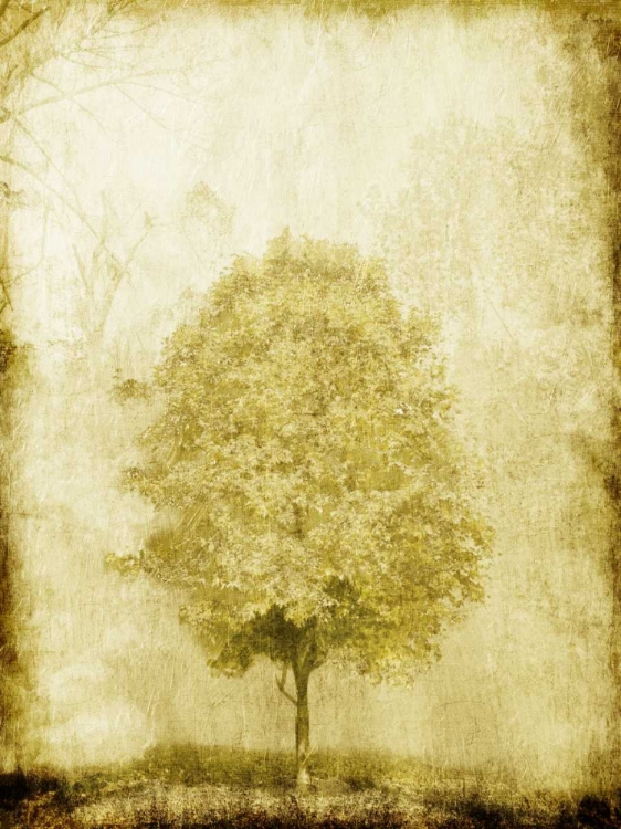 Picture of GOLDEN TREE