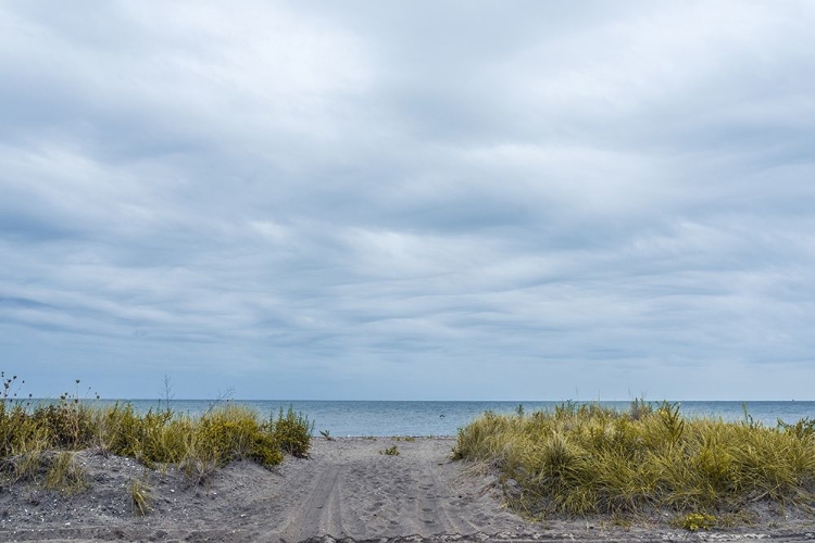 Picture of OCEAN ENTRANCE