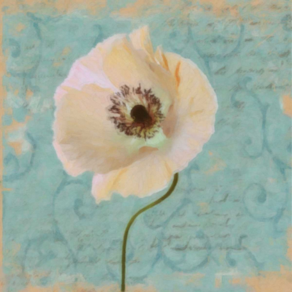 Picture of BLUE POPPY SCRIPT II