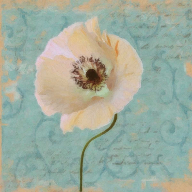 Picture of BLUE POPPY SCRIPT II