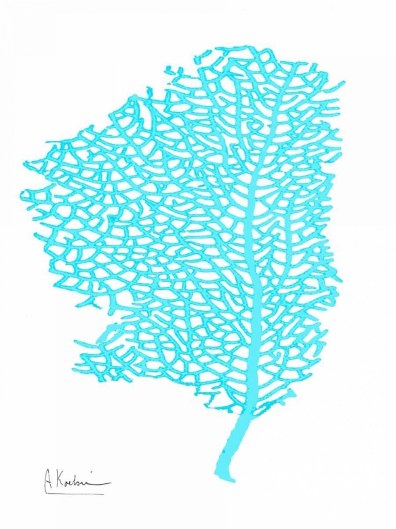 Picture of SEA FAN