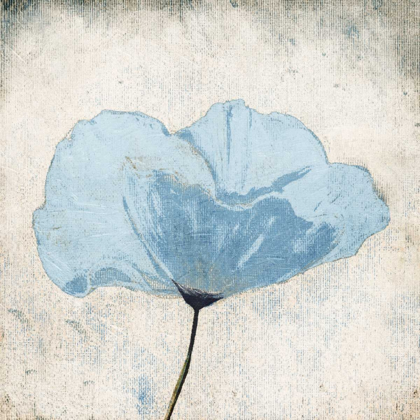 Picture of SOFT FLORAL BLUE