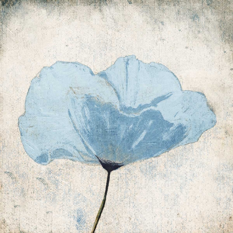 Picture of SOFT FLORAL BLUE