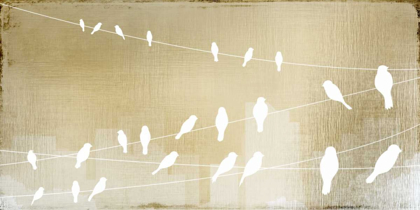 Picture of BIRDS ON A WIRE