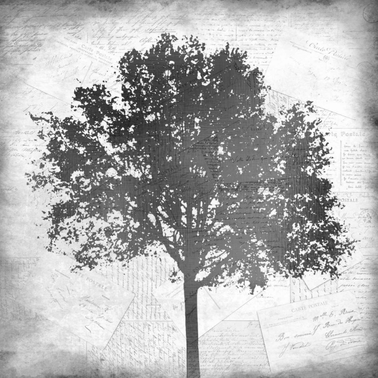 Picture of TREE SILHOUETTE BLACK AND WHITE 1