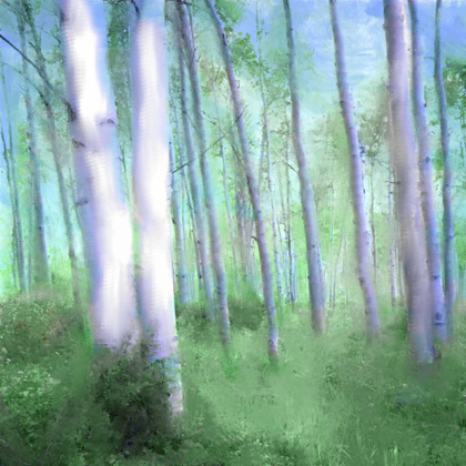 Picture of ASPEN GROVE