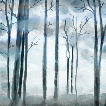 Picture of SHROUDED FOREST