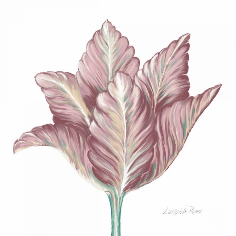 Picture of ROMANTIC TULIP 1