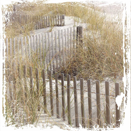 Picture of FENCE BY THE BEACH