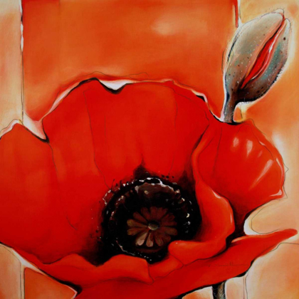 Picture of CRIMSON POPPY 1