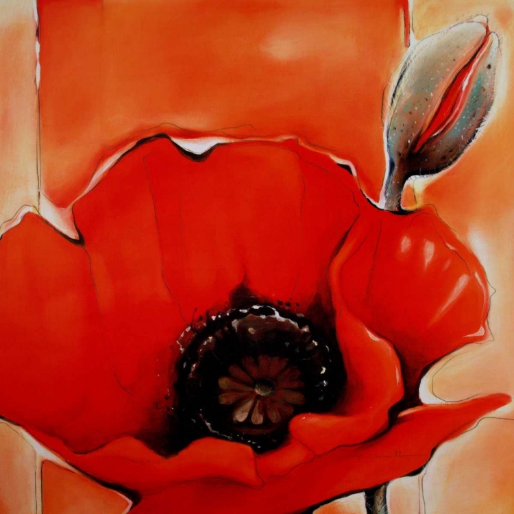 Picture of CRIMSON POPPY 1