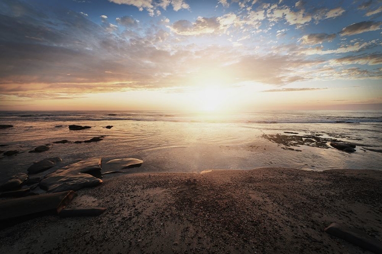 Picture of WALK ON THE BEACH