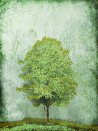 Picture of GREEN TREE