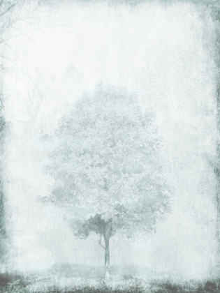 Picture of SNOW TREE