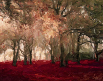 Picture of CRIMSON FOREST FLOOR A2