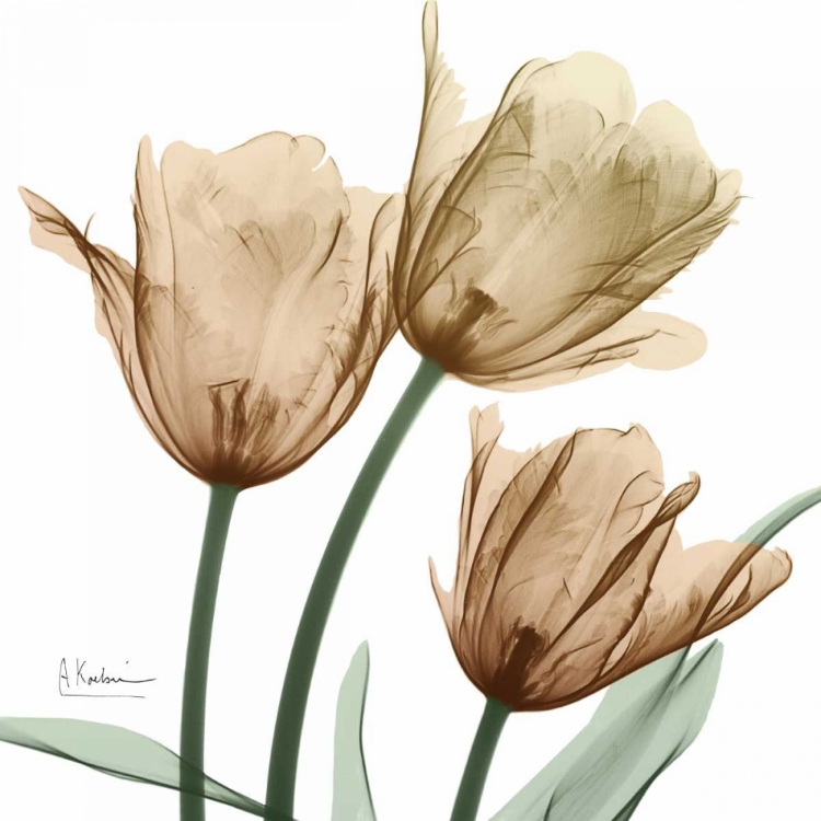 Picture of AUTUMN TULIPS 1