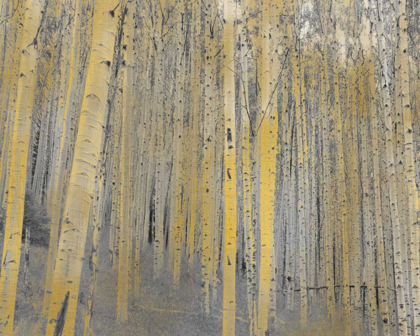 Picture of ASPEN FOREST IN GOLD