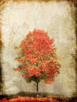 Picture of FIRE TREE